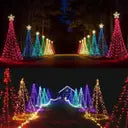 PESCA 40 LEDs 11 m Multicolor Steady String Rice Lights (Pack of 5)